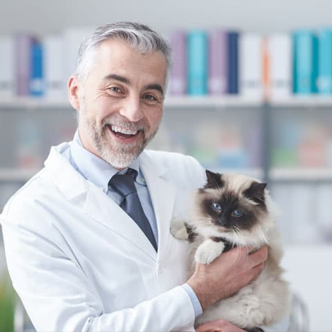 Doctor with cat